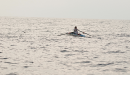 Solo crossing